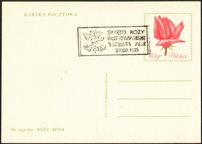 Cp 432 [KO71 220] Święto R&oacute;ży